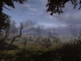 9 images pour STALKER : Clear Sky