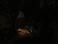 Stalker Clear Sky s'illustre