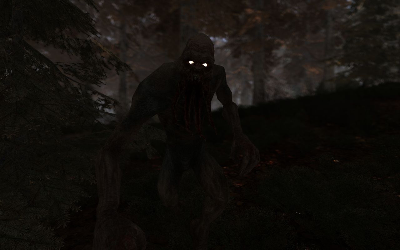 Stalker Clear Sky s'illustre