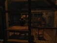 Images Stalker Clear Sky