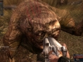 STALKER Clear Sky : nouvelles images