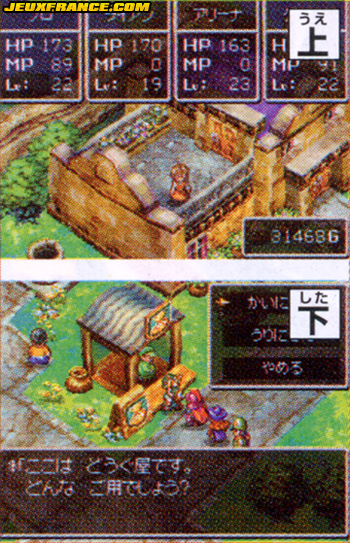 Dragon Quest IV DS en images