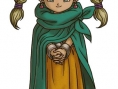 Dragon Quest V illustré