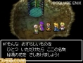 Dragon Quest V en images