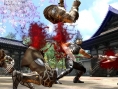 Ninja Gaiden 2 se dévoile