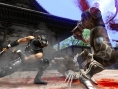 Ninja Gaiden 2 se dévoile