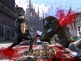 Ninja Gaiden 2 tranche en images