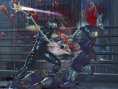 Images Ninja Gaiden II
