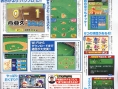Power Pro Kun Pocket 10 sur DS