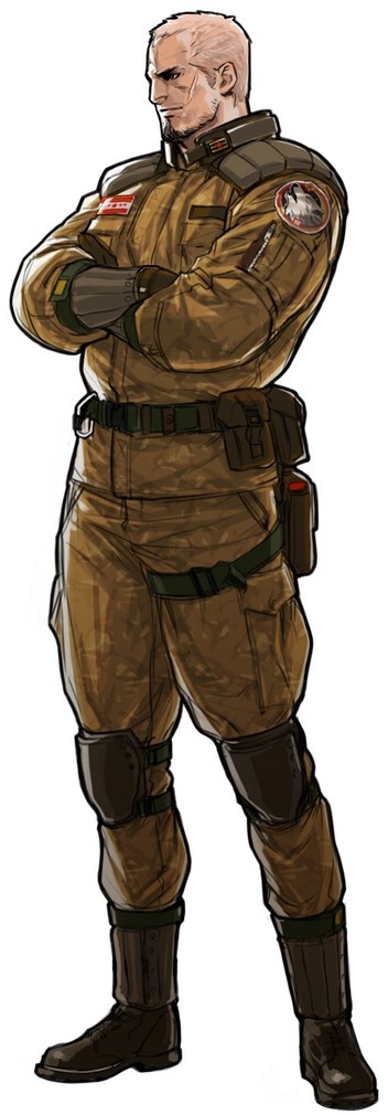 Advance Wars en images