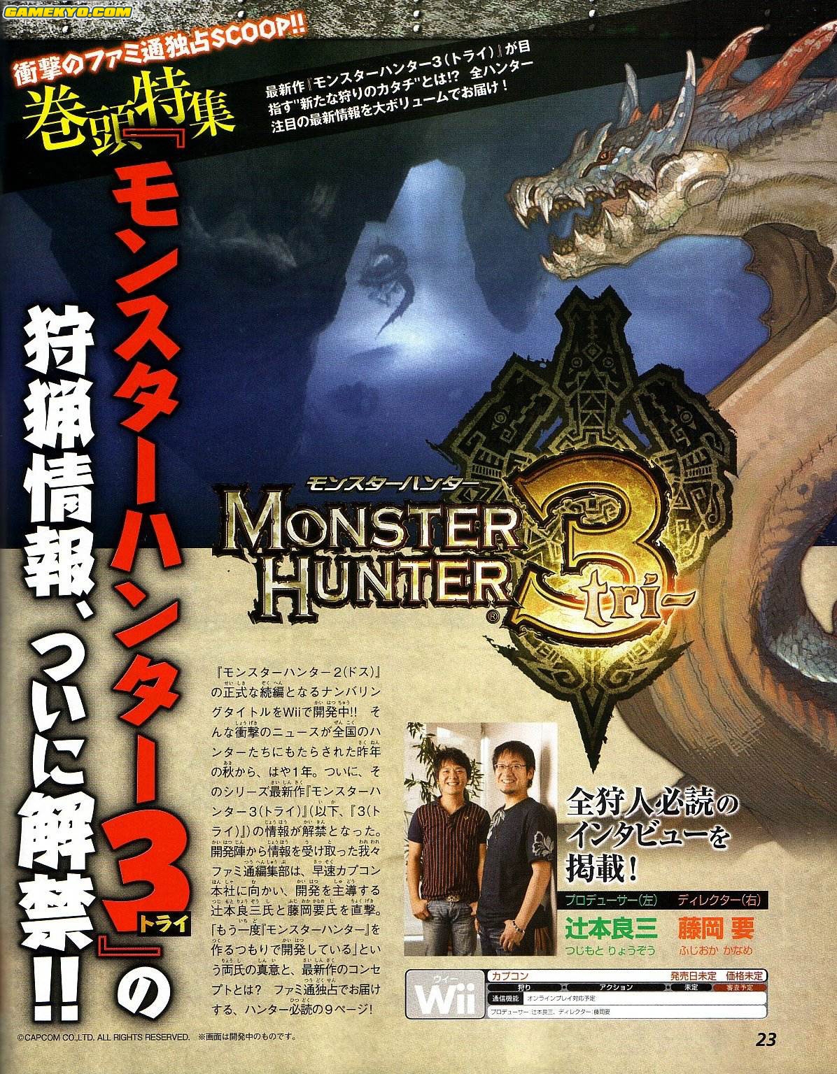 Monster Hunter 3 tri- Wii : premières images
