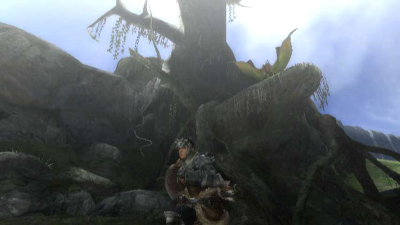 Monster Hunter 3 tri- new screenshots