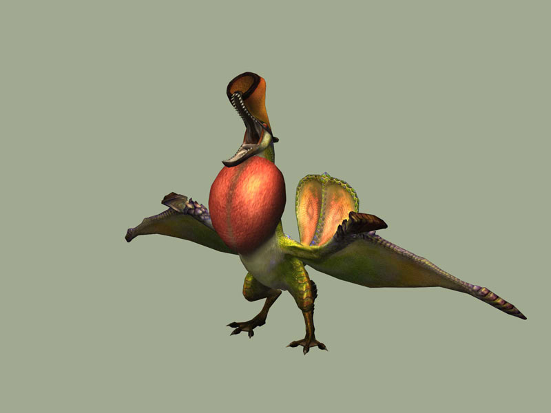 Monster Hunter 3 tri- : nouvelles images
