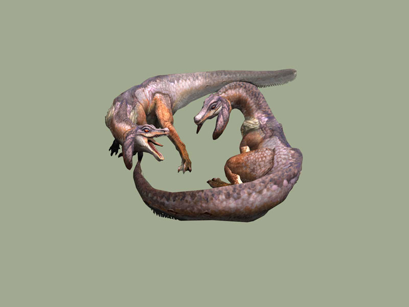 Monster Hunter 3 tri- : nouvelles images