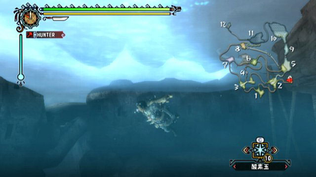 Monster Hunter 3 : encore des images