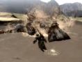 Capcom vous sert votre ration de Monster Hunter 3 tri-