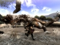 Capcom vous sert votre ration de Monster Hunter 3 tri-