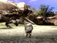 Capcom vous sert votre ration de Monster Hunter 3 tri-