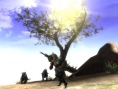 Capcom vous sert votre ration de Monster Hunter 3 tri-