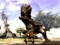 Capcom vous sert votre ration de Monster Hunter 3 tri-