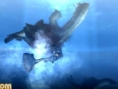 Monster Hunter 3 gronde en images