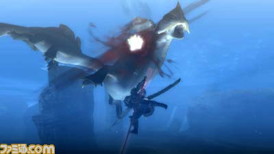 Monster Hunter 3 : new images