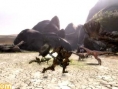Monster Hunter 3 gronde en images