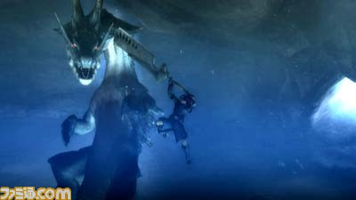 Monster Hunter 3 gronde en images