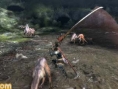 Monster Hunter 3 gronde en images