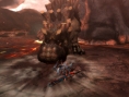 Monster Hunter 3 se fait un lave-ment en images