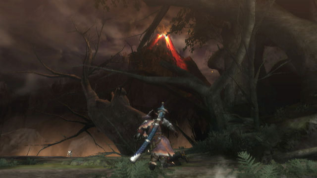 Monster Hunter 3 se fait un lave-ment en images