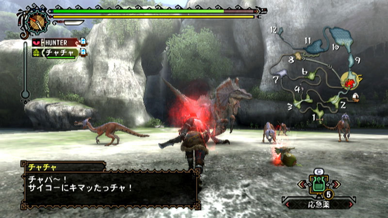 Monster Hunter 3 chasse en images
