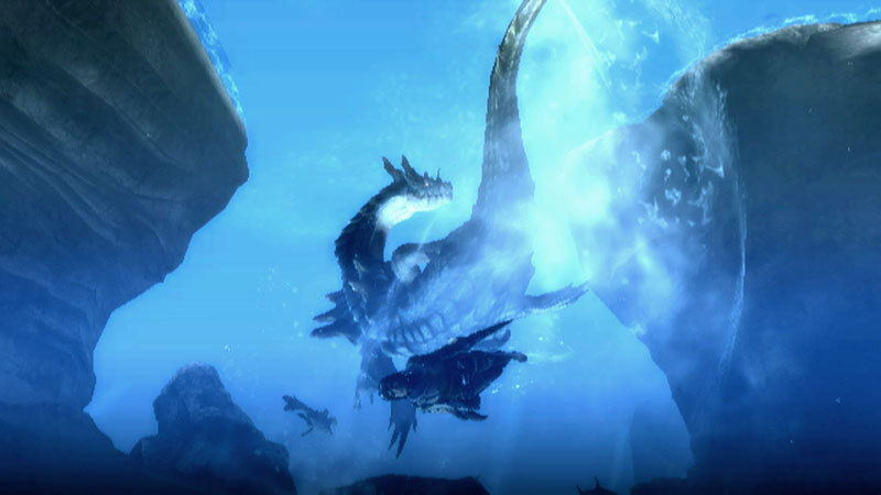 Monster Hunter 3 chasse en images