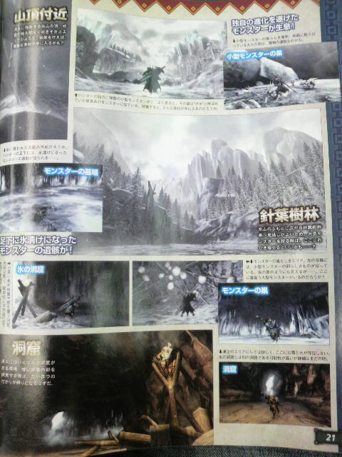Famitsu : Monster Hunter 3 jette un froid en images