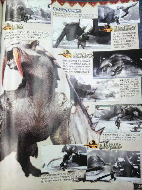 Monster Hunter 3: new images