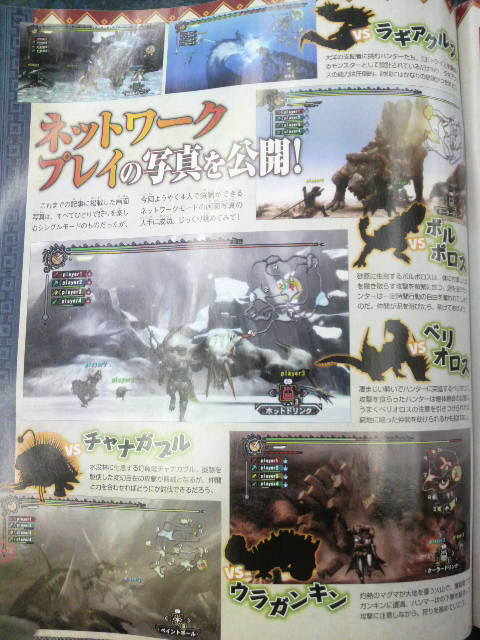 Monster Hunter 3: new images