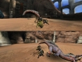 Monster Hunter 3 : le mode écran splitté en images