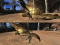 Monster Hunter 3 : le mode écran splitté en images