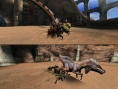 Monster Hunter 3 : le mode écran splitté en images