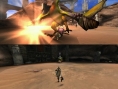 Monster Hunter 3 : le mode écran splitté en images