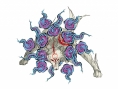 Okami : un flot d'images