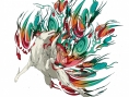Okami : un flot d'images