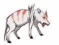 Okami : un flot d'images