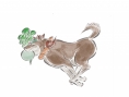 Okami : un flot d'images