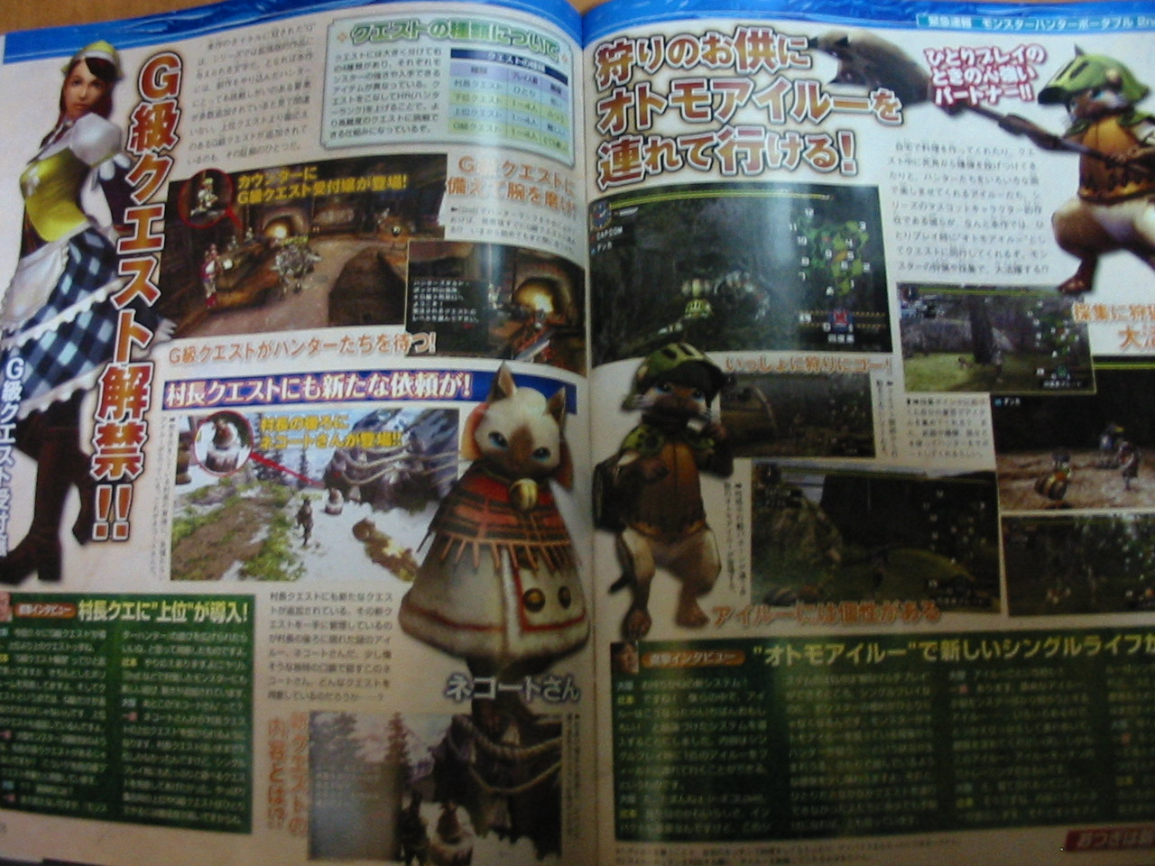 Monster Hunter Portable 2nd G en images