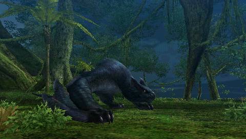 Monster Hunter Portable 2nd G en images
