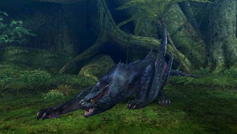 Monster Hunter Portable 2nd G en images