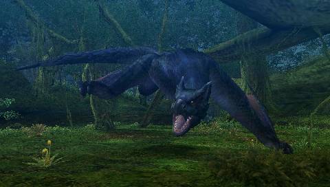 Monster Hunter Portable 2nd G en images