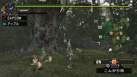Monster Hunter Portable 2nd G en images