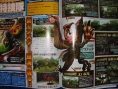 Monster Hunter G : images et pack